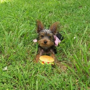 Meet your Posher, Stephanie